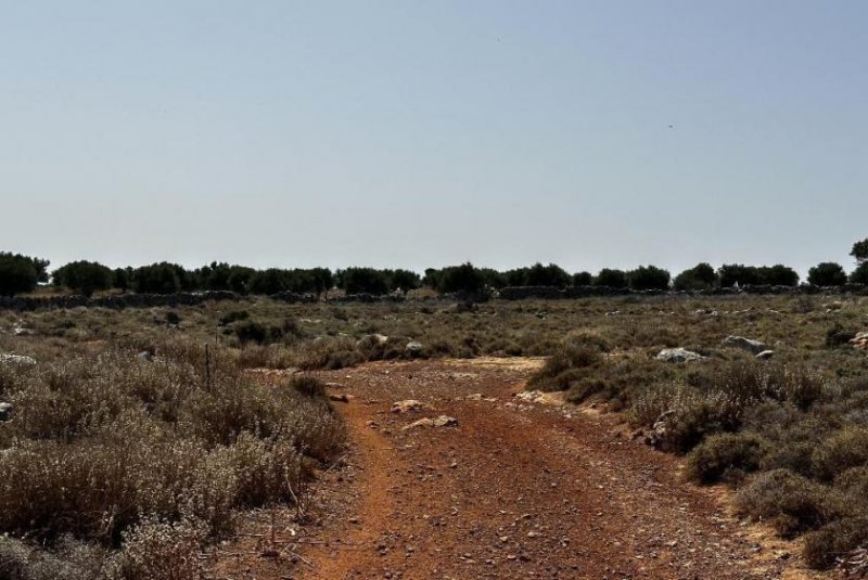 Kokkino Chorio Kreta, Kokkino Chorio: Spektakuläres 80.000 m² großes Grundstück mit Meerblick auf Kreta zum Verkauf Grundstück kaufen